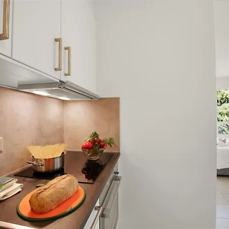 Apartment Locarno City